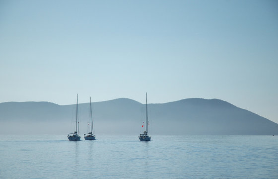 Fototapeta three yacht in the sea