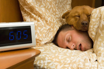 Man and his dog comfortably sleeping in - 10380508