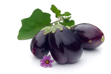 Aubergine 07