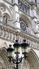 Fototapeta na wymiar Notre Dame et lampadaire, Paris