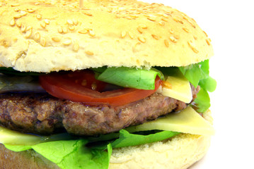 Close-up view of a typical hamburger over white background.