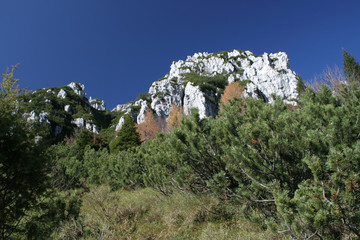 scorcio alpino