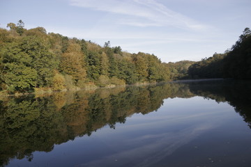 reflection of the tree in water