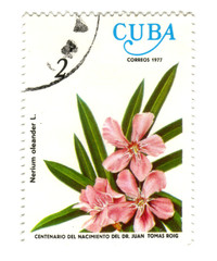 Old postage stamp from Cuba with flower
