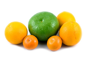 citrus fruits isolated on a white background