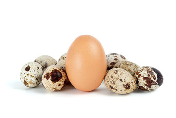 Few quail eggs and single hen egg isolated on the white