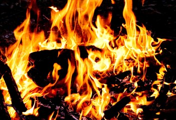 Fototapeta premium campfire