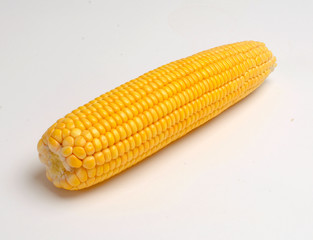 corn