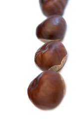 a few brown chestnuts are on a white background