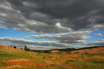 autumn meadow