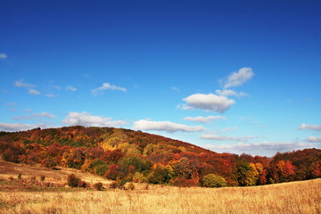 Autumn landscapes