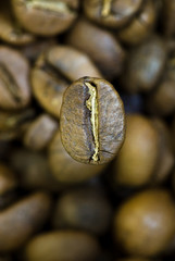 background from the spilled grains of Brazilian coffee