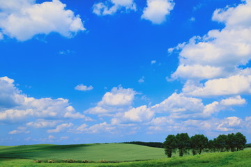 Himmel mit Wolken über grüner Landschaft,Schleswig-Holstein