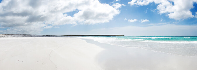 Beautiful beach Volunteer Point - Falkland Islands
