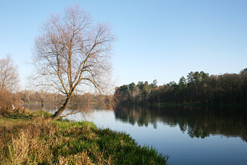 Fototapeta na wymiar Scenic view of a lake in autumn in early morning