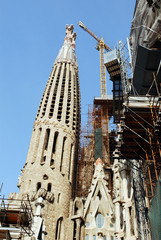 Naklejka premium Tour de la sagrada Familia