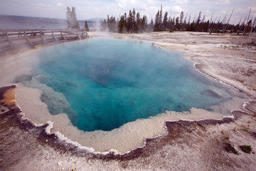Heiße Quelle im West Thumb Basain im Yellowstone National Park