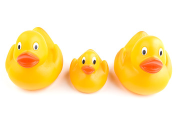 Two adult rubber ducks flank a juvenile on either side