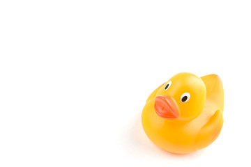 An isolated rubber duck bottom righthand corner