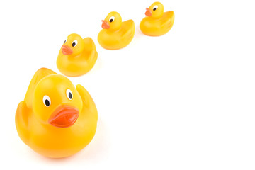 An adult rubber duck leads three juveniles