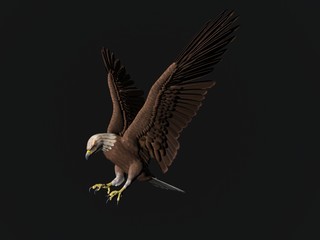 3D illustration of an eagle isolated over black