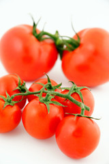 red tomatoes on white background