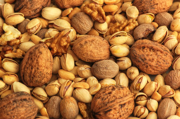 Nuts bundle