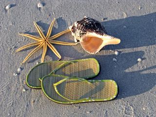 starfish, sandals, seashell,  on sand by ocean