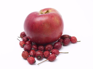 Apple with a wild rose