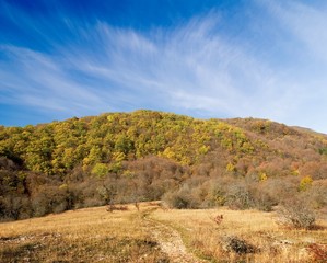 autumn in the mountains