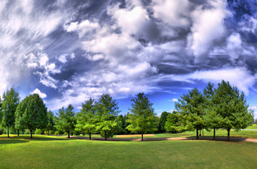 HDRI panorama of a park in summer with a dramatic sky.