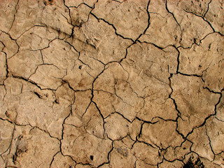 Dry craked earth