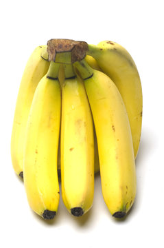 baby bananas also known as junior bananas, oritos, lady fingers