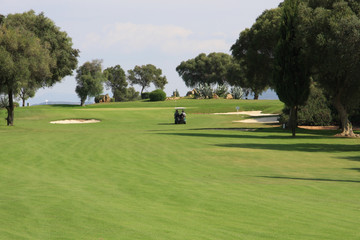 Golf - Fairway mit Buggy