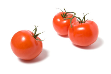 fasten tomato isolated on the white background