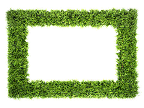 frame with grass