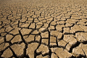 Dry cracked surface