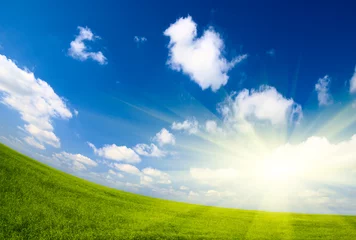 Fensteraufkleber field of flax and blue sky © Iakov Kalinin