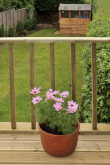 house with wooden decking and patio leading to garden