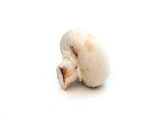 A single mushroom