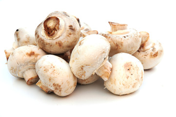Fototapeta premium organic mushrooms