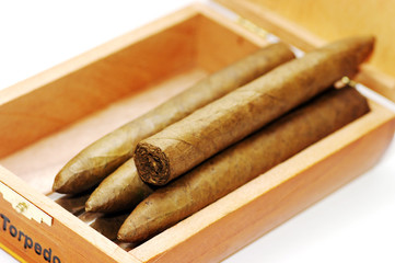 cigars texture. Cigars in box.