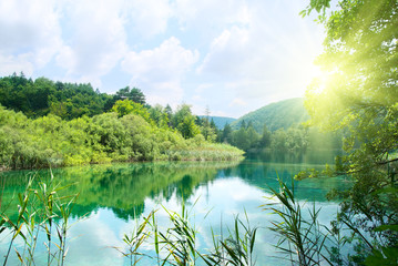 Naklejka premium lake in deep forest