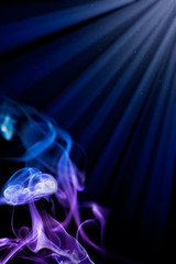 Obraz premium Medusa smoke