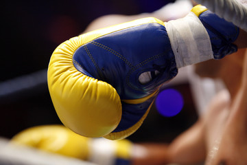 Gant de Boxe