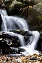 Autumn stream