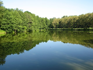Fototapeta na wymiar Forest lake, Izmaylovskiy park in Moscow Russia