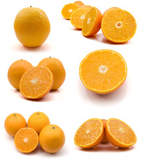 page of oranges isolated on the white background