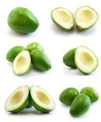 page of avocados isolated on the white background
