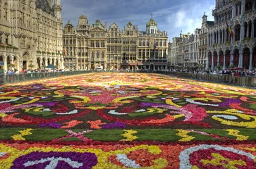 Foto op Plexiglas Brussel brussel tapijt